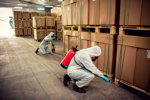 Best Termite Control Services  in Surf City, NJ