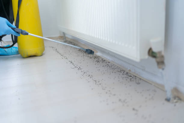Best Residential Pest Control  in Surf City, NJ